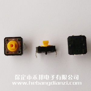 輕觸開(kāi)關(guān)B3F-4055