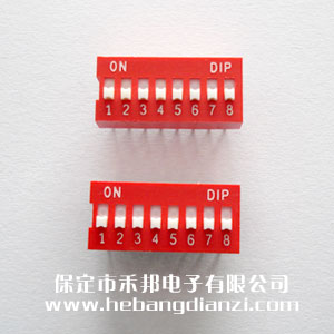 8P撥碼開關(guān) 臺(tái)產(chǎn) 平撥