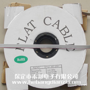 灰排線10P 線徑0.09