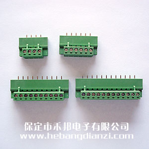 立式插拔帶固定孔-2P,3P,4P,6P,7P,8P,9P,10P,11P,12P,14P,15P,16P,18P,20P,22P,24P