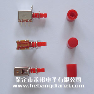 琴鍵自鎖開關(guān)(含帽)