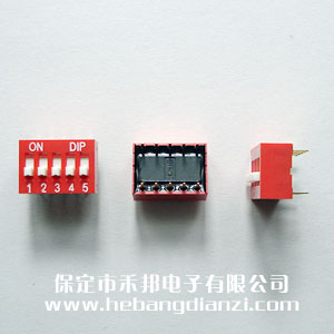 5P撥碼開關(guān) 臺(tái)產(chǎn) 平撥