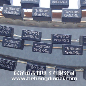 方型保險絲T2A 250V 優(yōu)質(zhì)