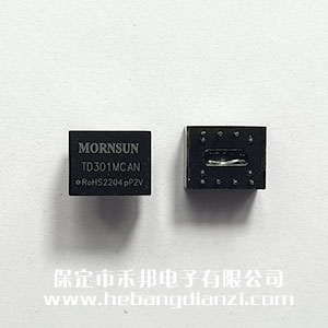 CAN隔離模塊 TD301MCAN